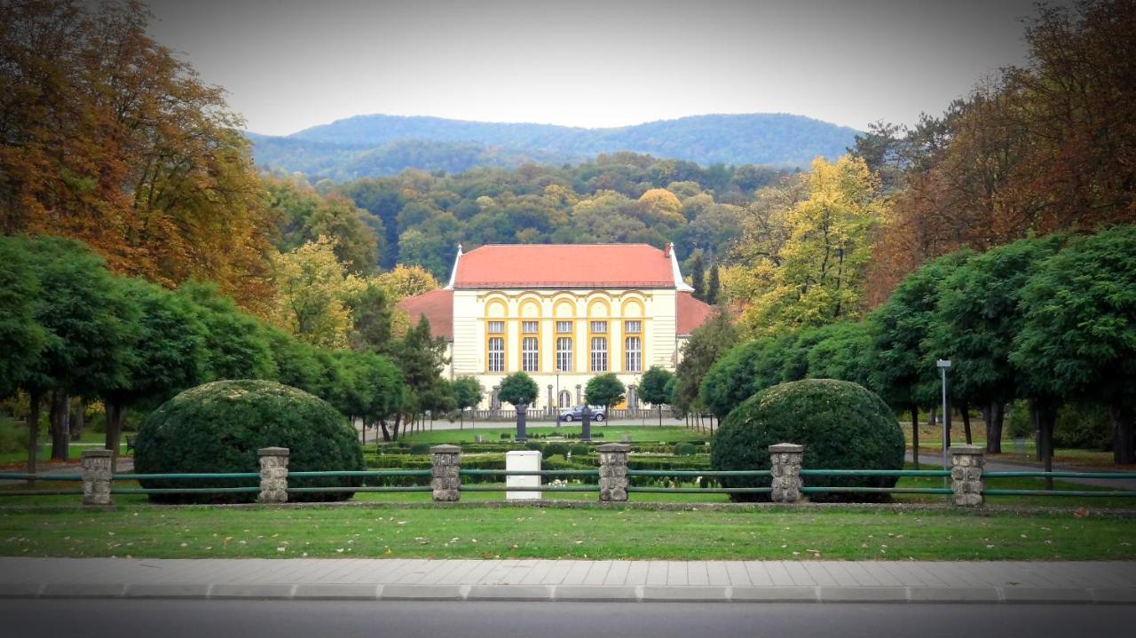 Dijamant Apartamento Banja Koviljača Exterior foto